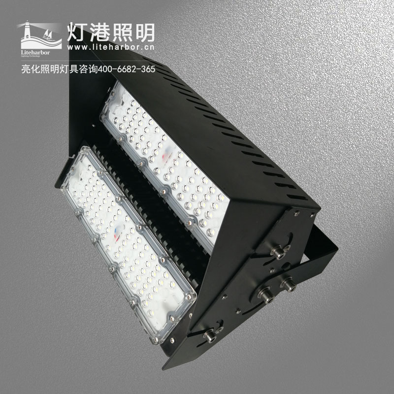DG5205-LED投光燈廠(chǎng)家 戶(hù)外投光燈專(zhuān)業(yè)定制