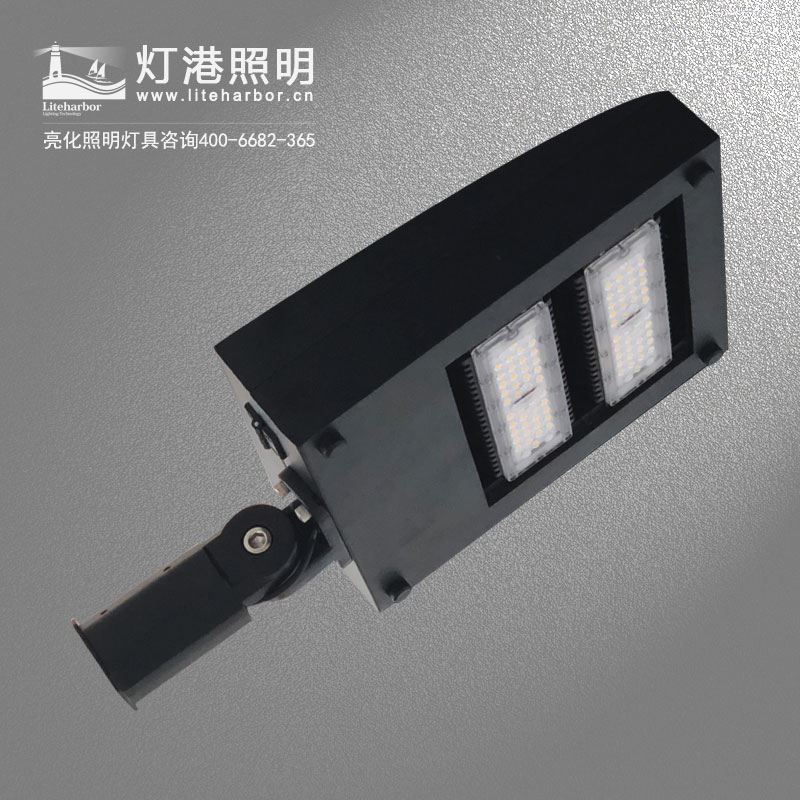 DG5101-LED路燈 太陽(yáng)能智慧節能道路亮化led路燈專(zhuān)業(yè)廠(chǎng)家
