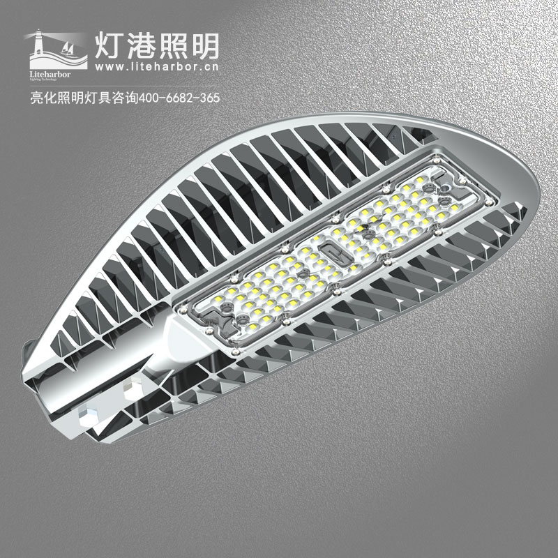 DG5109-LED路燈定制廠(chǎng)家 太陽(yáng)能戶(hù)外防水大功率高架橋亮化led路燈工程款